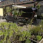 City Hotel Soeder Budget